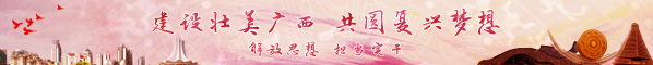 建设壮美广西 共圆复兴梦想·解放思想 担当实干